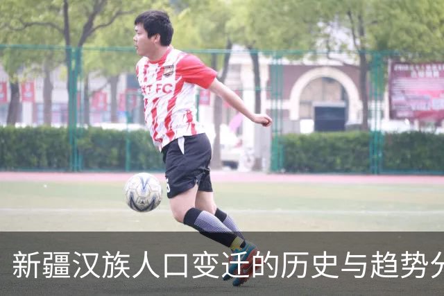 新疆汉族人口变迁的历史与趋势分析