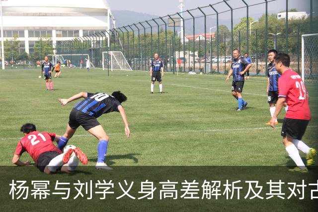 杨幂与刘学义身高差解析及其对古装剧氛围感的影响
